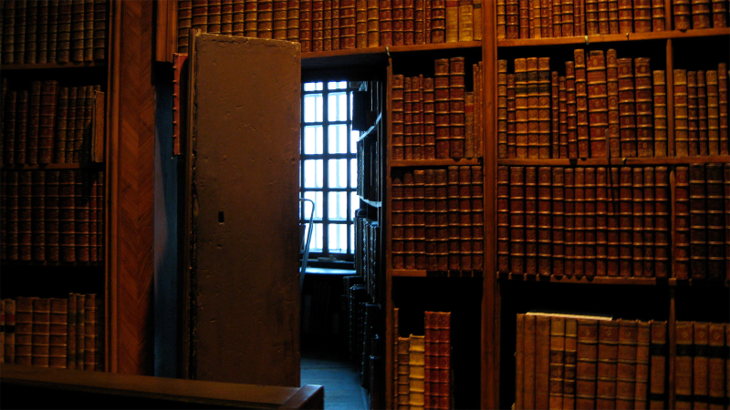 Illustration for article titled 20 Secret Passageways and Rooms Hiding in Plain Sight